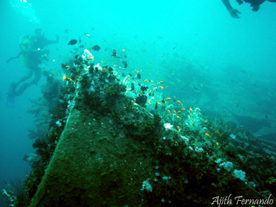 MV Tricolor 1931 shipwreck