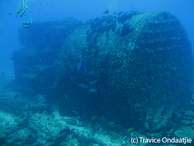 Copper Wreck