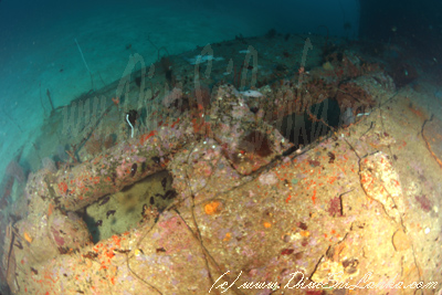 www.DiveSriLanka.com - Taprobane North Wreck (Perseus 1917)?