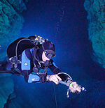 The shipwrecks of Sri Lanka provide some of the best thrilling wreck diving