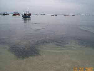 Traditional fishing boats on a Sri Lankan beach